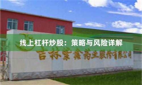 线上杠杆炒股：策略与风险详解